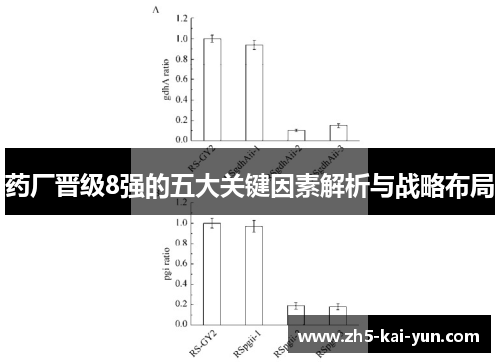 药厂晋级8强的五大关键因素解析与战略布局 药厂晋级8强的五大关键因素解析与战略布局