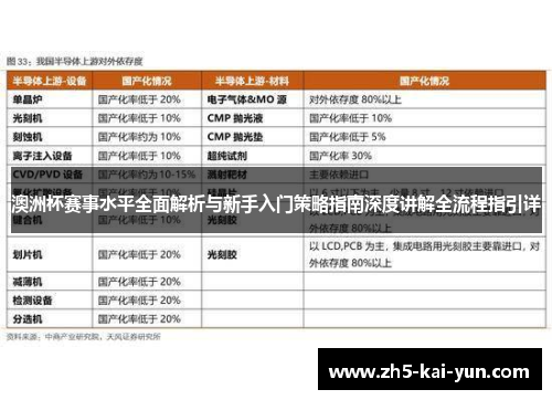 澳洲杯赛事水平全面解析与新手入门策略指南深度讲解全流程指引详