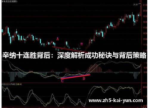 辛纳十连胜背后：深度解析成功秘诀与背后策略